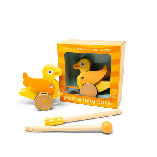 Duck Push Toy