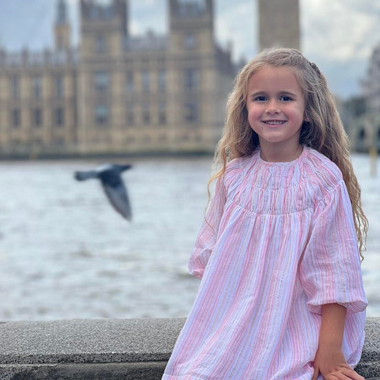 Embroidered Smocked Dress - Pink Multi Stripe