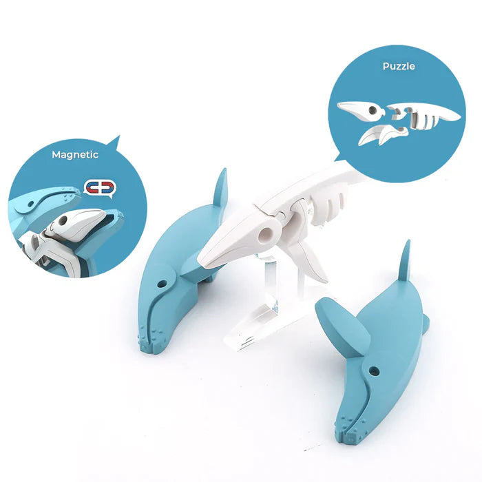 Ocean - Humpback Whale