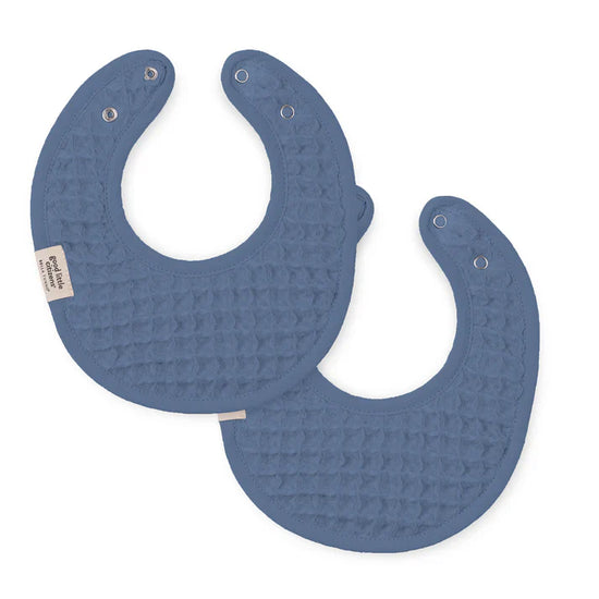2-Pack Baby Drool Bibs - Rain