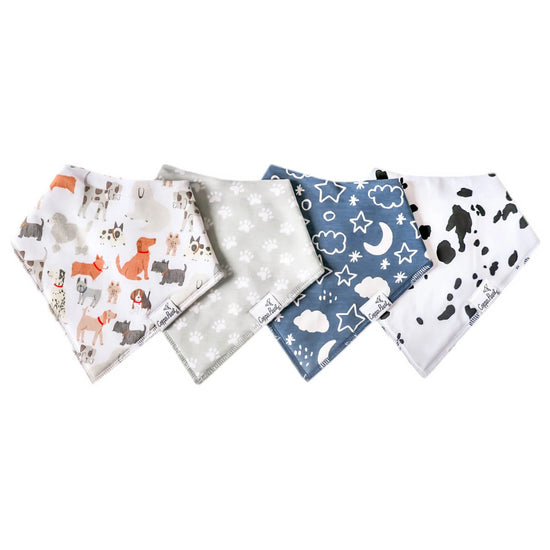 Bandana Bib Set - Rufus