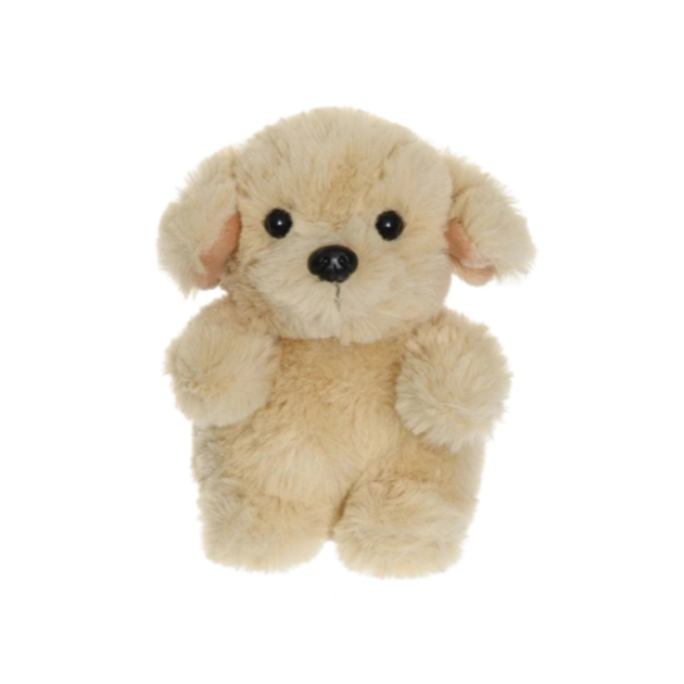 Teddy Dog - Beige