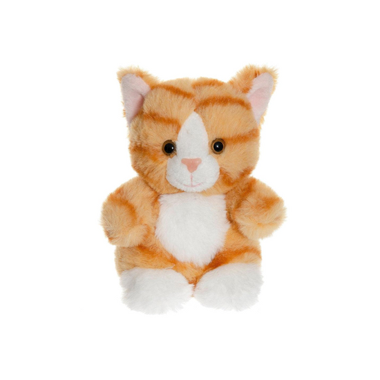 Teddy Cat - Orange