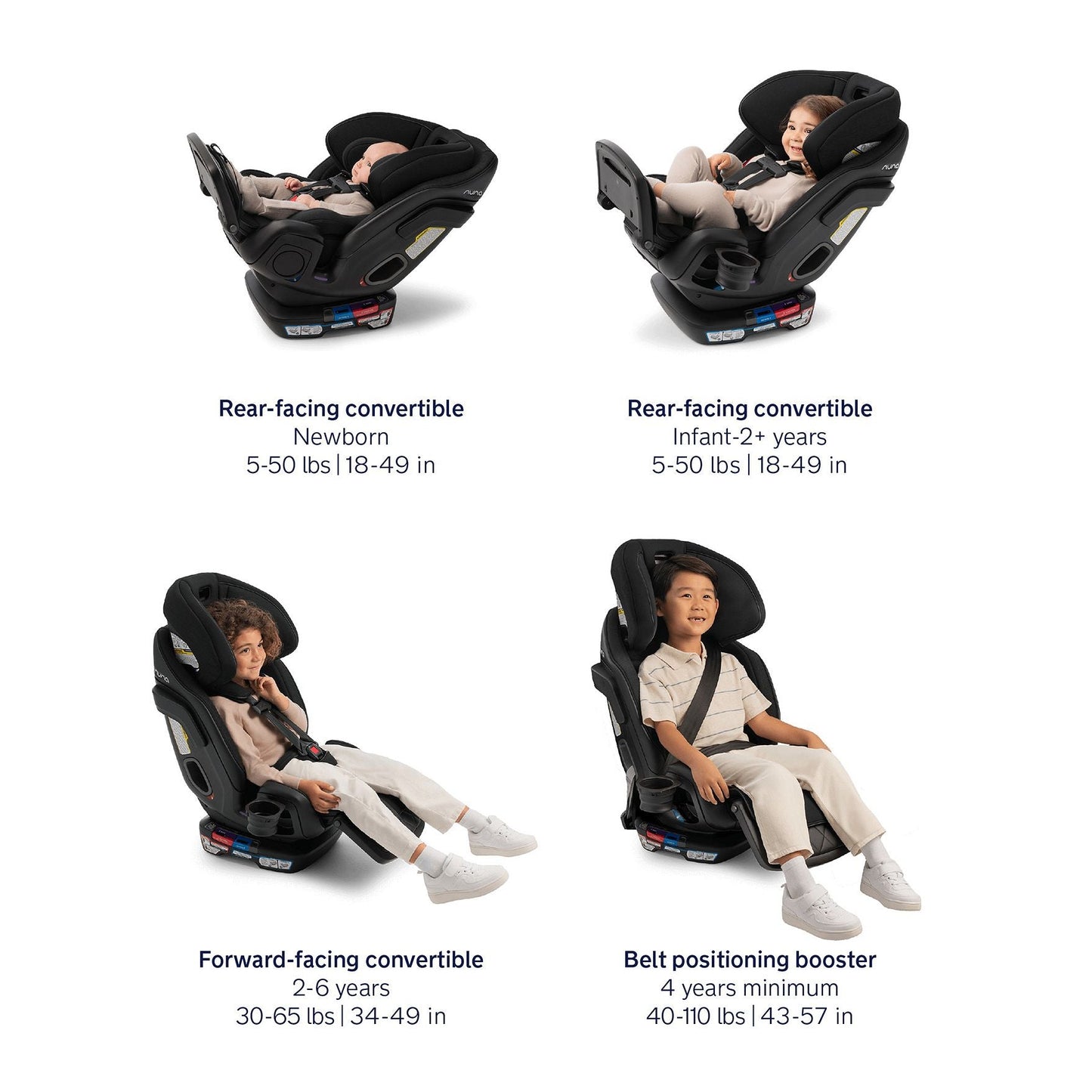 Exec™ Next - Biscotti