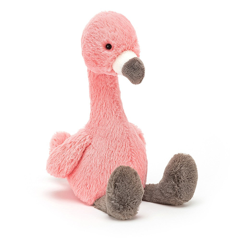 Bashful Flamingo